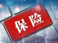 营收净利双增!中国太保“中考”亮眼,稳步增加权益配置