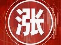 利多来袭!多晶硅涨停,期价创上市新高