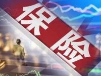 又见“保险投资保险”!险资持续增配权益资产